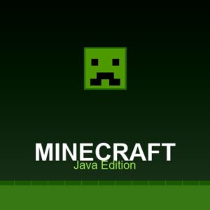 Minecraft Java Server